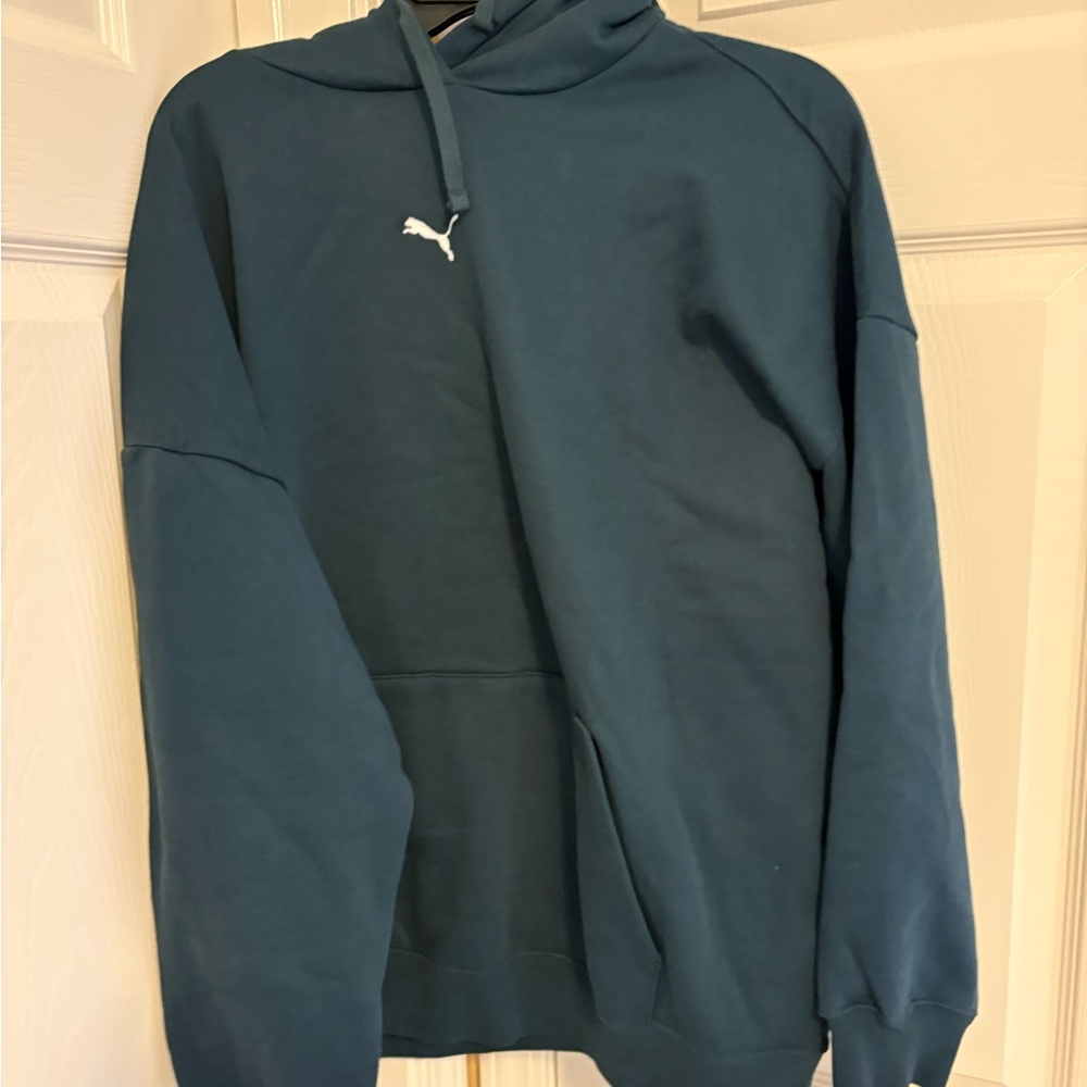 Puma Men's Teal Hoodie Sweater